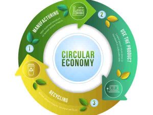 Circular economy infographic illustrating sustainable materials in construction ecosystems.