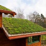 Wooden house with green roof, symbolizing sustainable building with ecological and financial benefits.