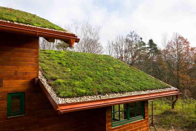 Wooden house with green roof, symbolizing sustainable building with ecological and financial benefits.