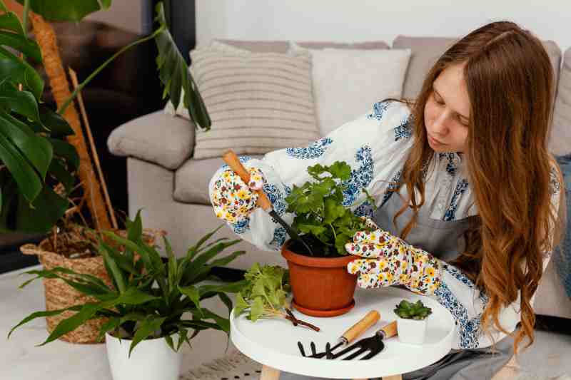 Your Essential DIY Guides & Tutorials for a Greener Home