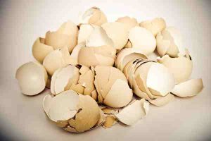 Broken brown eggshells in compost, symbolizing cost-saving for family outings and holiday funds.